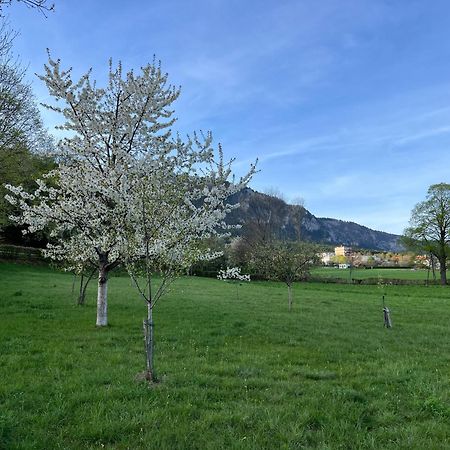 Ferienhaus Hoeflein Zweiersdorf Kültér fotó
