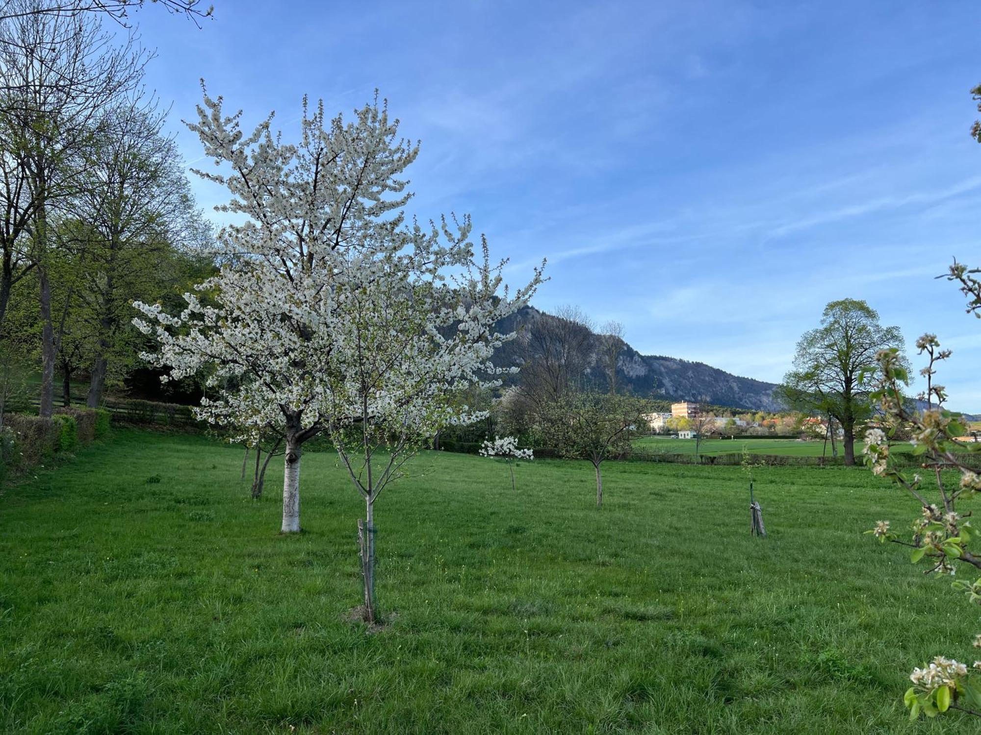 Ferienhaus Hoeflein Zweiersdorf Kültér fotó