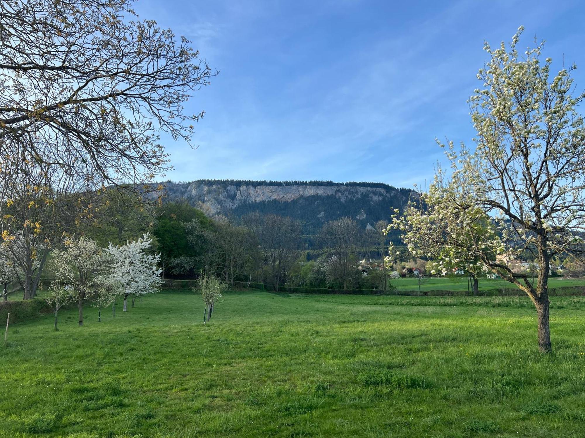 Ferienhaus Hoeflein Zweiersdorf Kültér fotó
