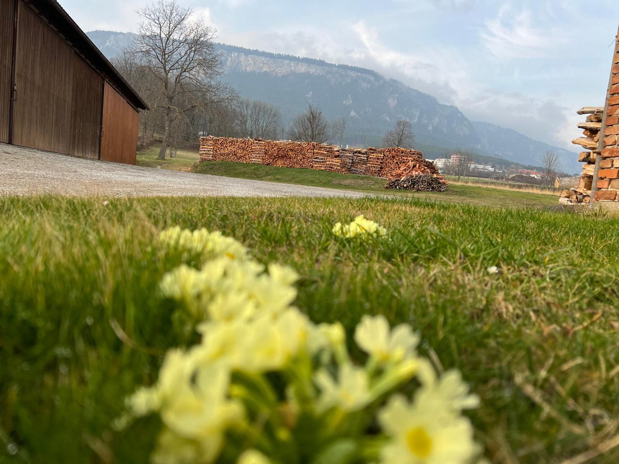Ferienhaus Hoeflein Zweiersdorf Kültér fotó